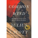 The Common Wind: Afro-American Currents in the Age of the Haitian Revolution