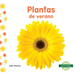 Plantas de Verano (Summer Plants)