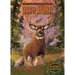 Deer Hunt: Rescue in the Rockies: Rescue in the Rockies