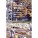 Littlecote, Wiltshire: Archaeological Excavations in the Park