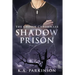 The Shadow Prison
