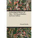 Archaeological History Of Ohio - The Mound Builders And Later Indians