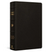 ESV Giant Print Personal Size Bible, Red Letter (Buffalo Leather, Deep Brown)
