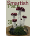 Smartish Pace: Issue 30