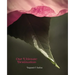 Our Ultimate Destination Paperback