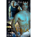 Summer at the Villa: Gay Erotica