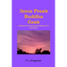 Jesus Freak Buddha Geek