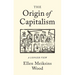 The Origin of Capitalism: A Longer View