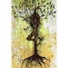 Spirituacities and other Meanderings from a Hippie Soul