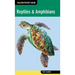 Reptiles & Amphibians