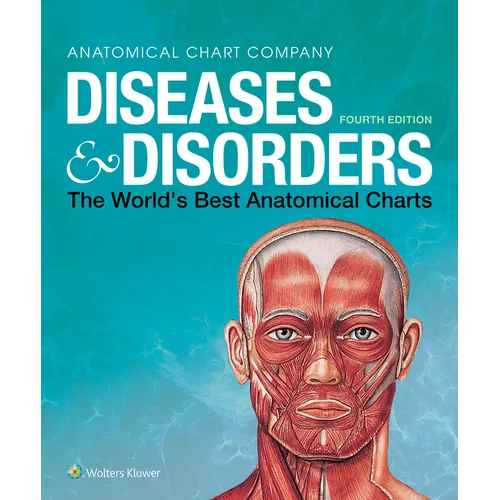 Diseases & Disorders: The World's Best Anatomical Charts