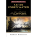 Ashes Under Water: The SS Eastland and the Shipwreck That Shook America