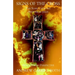 Signs of the Cross: The Search for the Historical Jesus from a Jewish Perspective