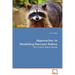 Approaches to Modelling Raccoon Rabies