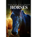 Horse - Curious Kids Press