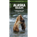 Alaska Wildlife: A Folding Pocket Guide to Familiar Animals