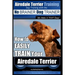 Airedale Terrier Training Dog Training with the No BRAINER Dog TRAINER We make it THAT Easy!: How to EASILY TRAIN Your Airedale Terrier
