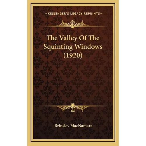 The Valley Of The Squinting Windows (1920)