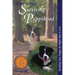 Surviving Puppyhood: Teaching Your Puppy the Right Way to Live