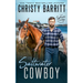 Saltwater Cowboy: An Edge of Your Seat Christian Romantic Suspense Novel with Wild Horses and an Isolated NC Island