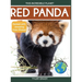 Red Panda