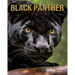 Black Panther: Amazing Picture and Facts About Black Panther for Children's
