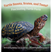 Turtle Snoots, Scutes, and Toots? Fascinating Turtle Facts