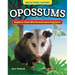 Kids' Backyard Safari: Opossums: Explore Their World and Learn Fun Facts