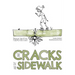 The Cracks In The Sidewalk: Poems For Kids