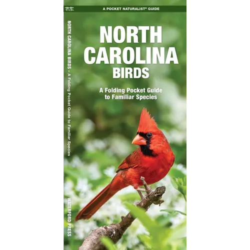 North Carolina Birds