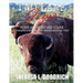 Two Lane Gems, Vol. 2: Bison are Giant and Other Observations from an American Road Trip