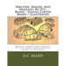 Shelters, Shacks, And Shanties. By: D.C. Beard. /Daniel Carter Beard / Illustrated