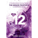 The Twelve: A Transformational Journey Through The Minor Prophets A Companion Study