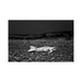 The Curious Moaning of Kenfig Burrows