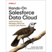 Hands-On Salesforce Data Cloud: Implementing and Managing a Real-Time Customer Data Platform