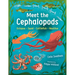 Meet the Cephalopods: Octopus, Squid, Cuttlefish, Nautilus