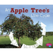 An Apple Tree's Life Cycle