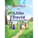 Adventures of Little David
