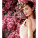 Always Audrey: Six Iconic Photographers. One Legendary Star.