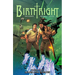 Birthright Volume 3: Allies and Enemies