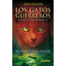 En Territorio Salvaje (Into the Wild)