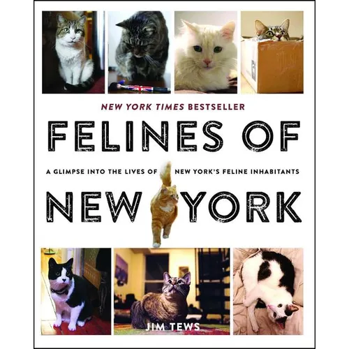 Felines of New York: A Glimpse Into the Lives of New York's Feline Inhabitants