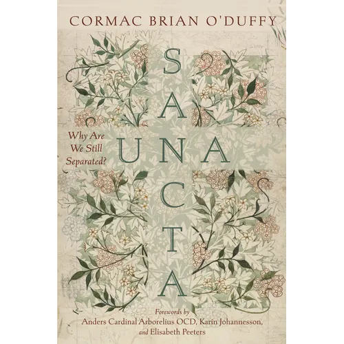 Una Sancta: Why Are We Still Separated?