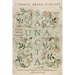 Una Sancta: Why Are We Still Separated?
