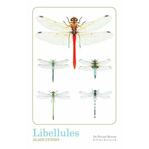 Libellules