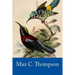 Birds from North Borneo