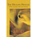 The Healing Process: Spirit, Nature & Our Bodies (Cw 319) Volume 319