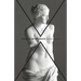 Venus in Retrograde: poems