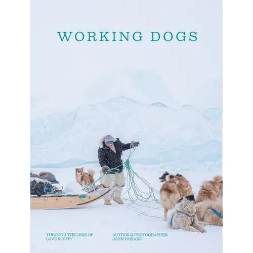 Working Dogs: Through the Lens of Love and Duty