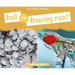 Hail or Freezing Rain?